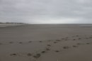 plage du Touquet à Berck